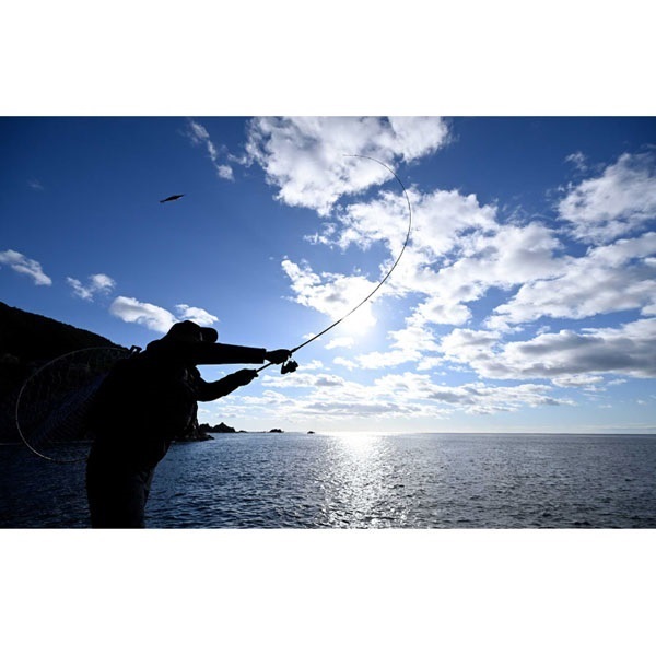 25 セフィア リミテッド